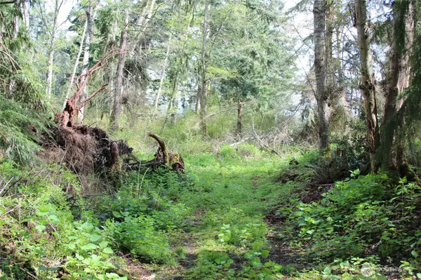 Coupeville, WA 98239,0 NHN Mistywood