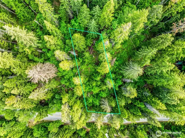 Leavenworth, WA 98826,15839 B Cedar Brae RD