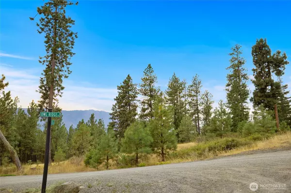 Cle Elum, WA 98922,0 Owl Ridge Dr