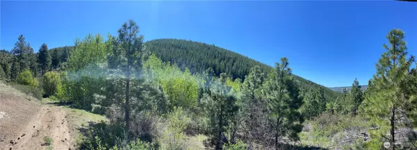 Entiat, WA 98822,0 Potato Creek