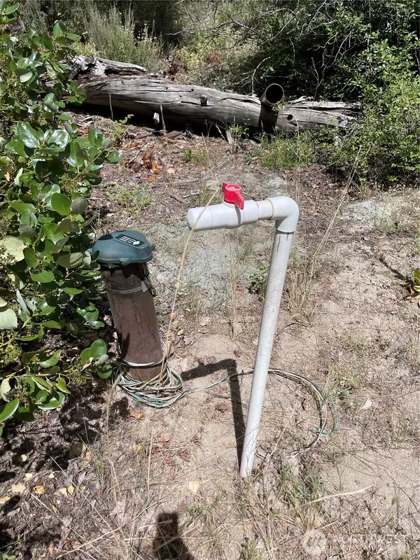 Entiat, WA 98822,0 Potato Creek