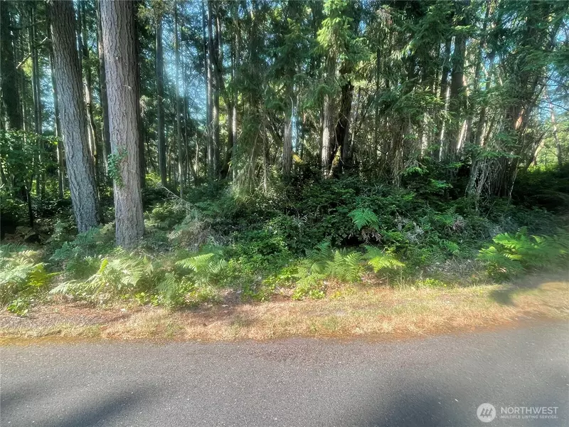 10416 107th Avenue Ct, Anderson Island, WA 98303