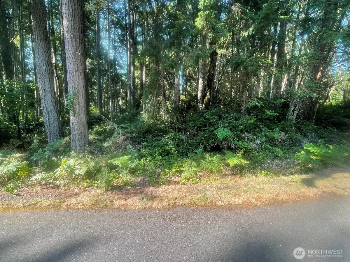 Anderson Island, WA 98303,10416 107th Avenue Ct