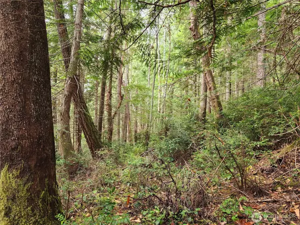 Brinnon, WA 98320,0 Yashi RD