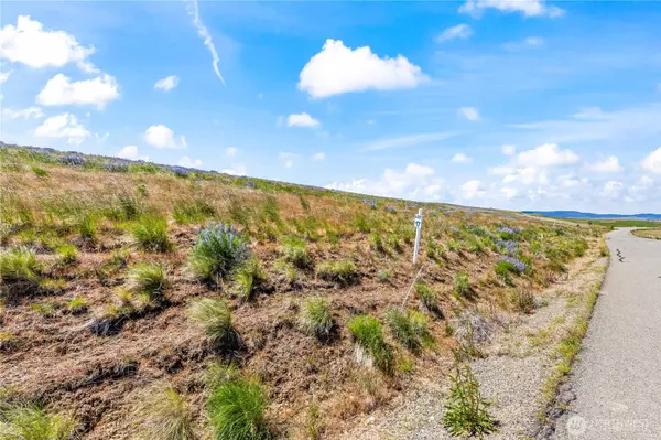 Ellensburg, WA 98926,17 Sundance LN