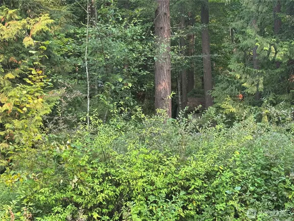 Bellingham, WA 98226,1774 Emerald Lake WAY