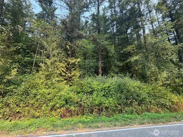 Bellingham, WA 98226,1774 Emerald Lake WAY