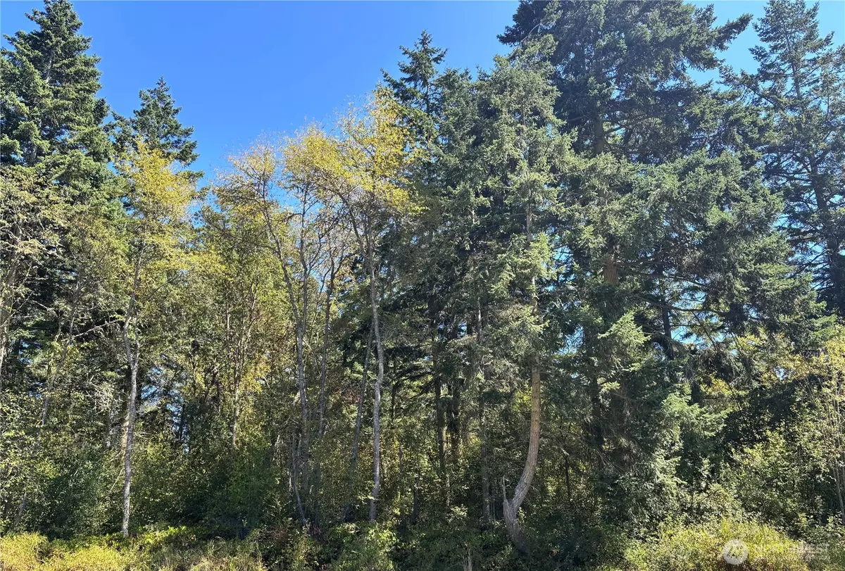 Port Townsend, WA 98368,15 xx7 Rainier ST
