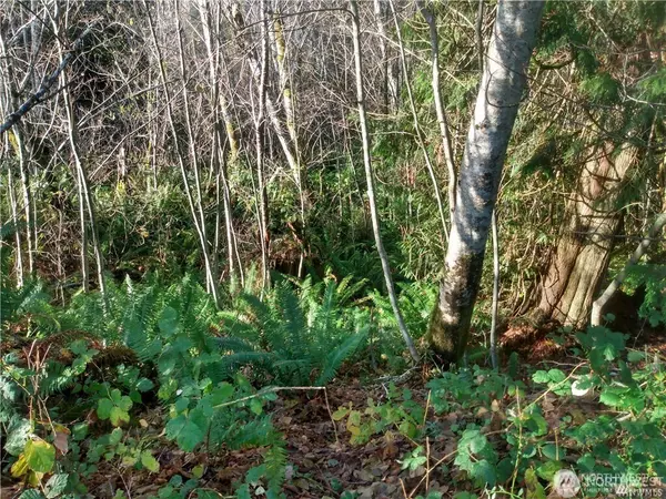 Elma, WA 98541,0 Alder PL