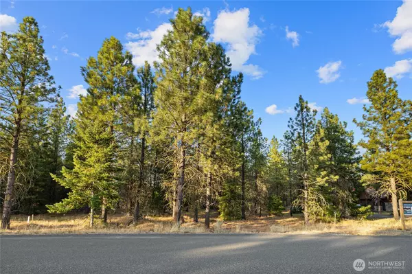 Cle Elum, WA 98922,131 Gold Leaf LN