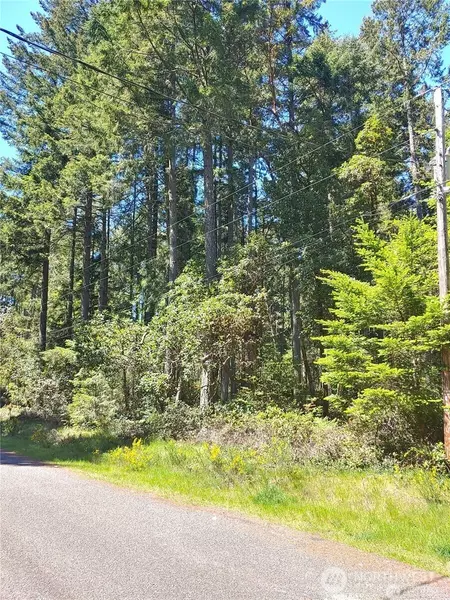 10101 /10019 129th DR, Anderson Island, WA 98303