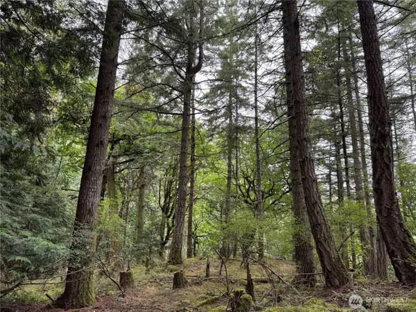 Orcas Island, WA 98245,0 Diamond Hill RD
