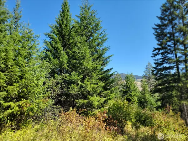 Danville, WA 99121,9999 Lone Ranch Rd