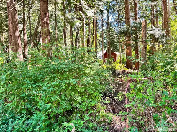 Point Roberts, WA 98281,158 Tyee DR