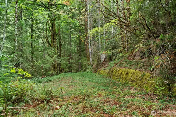 Hoodsport, WA 98548,830 N Dow Mountain RD