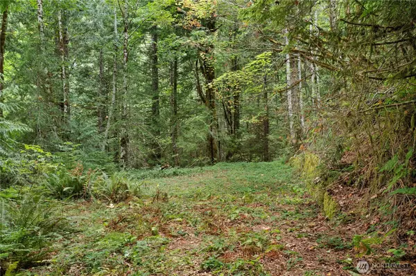 Hoodsport, WA 98548,830 N Dow Mountain RD