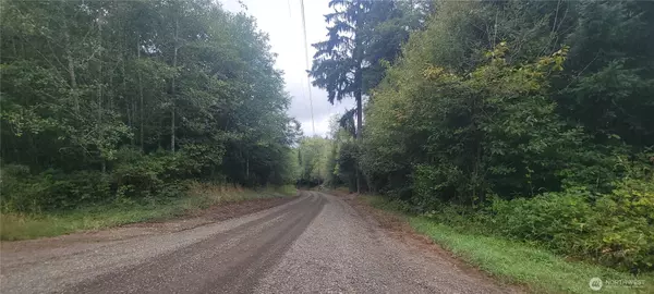Montesano, WA 98563,360 Mudgett Mountain RD