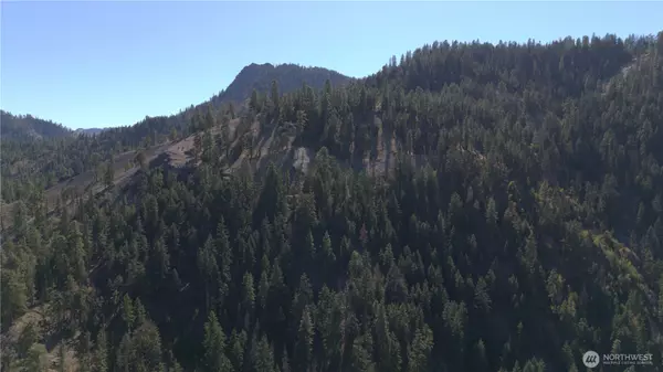 Peshastin, WA 98847,0 Old Blewett Pass HWY