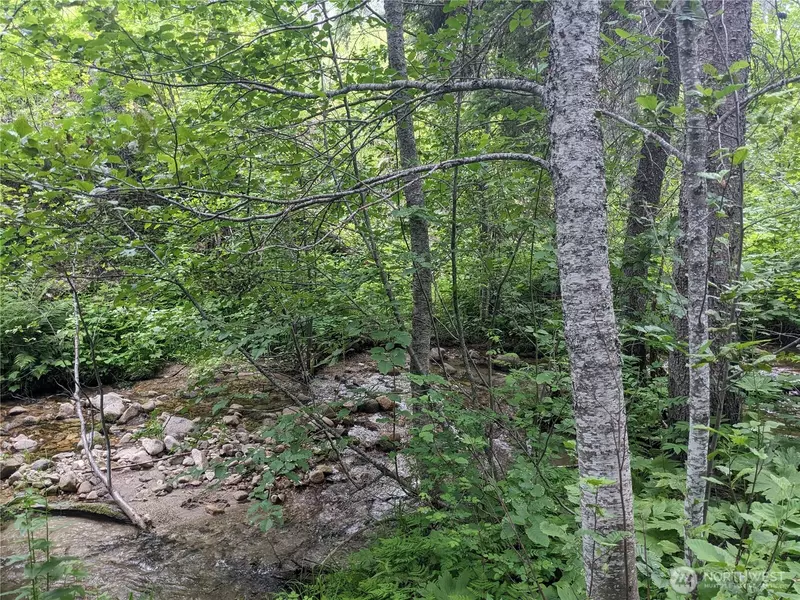 0 TBD BIA RD #56, Nespelem, WA 99155