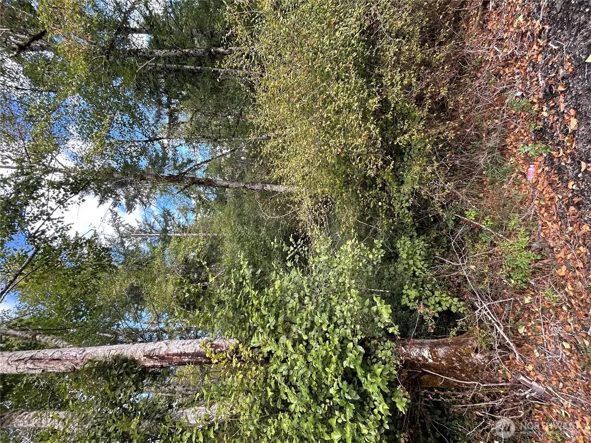 Grapeview, WA 98546,1331 E Grapeview Loop RD