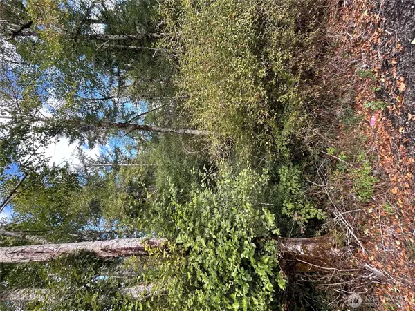320 E Fox Run LN W, Grapeview, WA 98546