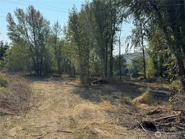 Tonasket, WA 98855,0 TBD Highway 97