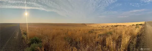 Wilson Creek, WA 98832,0 TBD Road 11