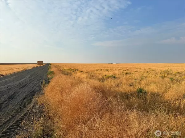 Wilson Creek, WA 98832,0 TBD Road 11