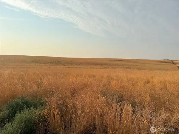Wilson Creek, WA 98832,0 TBD Road 11