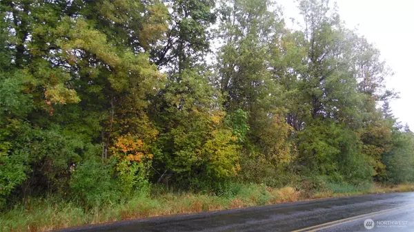 Onalaska, WA 98570,0 Viewridge RD