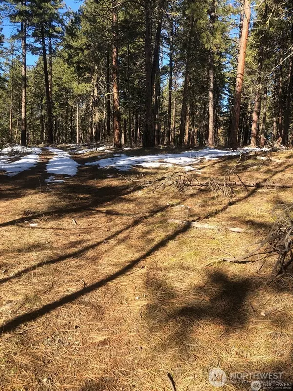Cle Elum, WA 98922,0 XXX Unknown