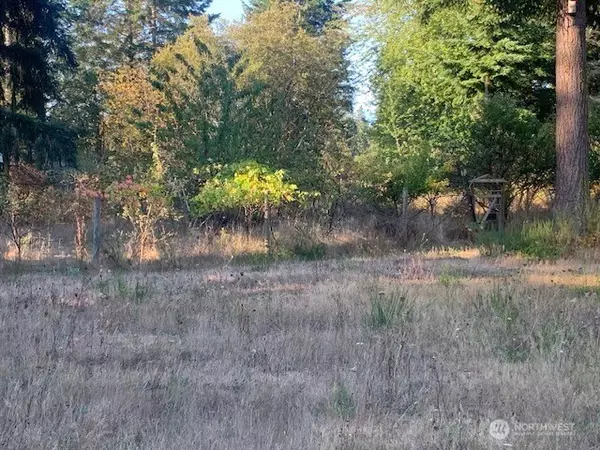 Port Hadlock, WA 98368,0 NKA C ST