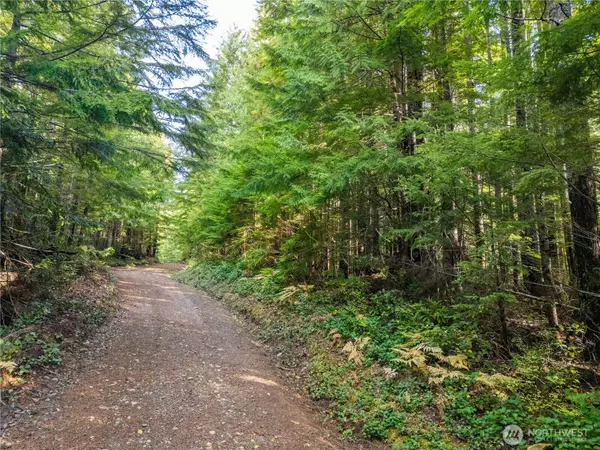 Hoodsport, WA 98548,1350 N Hilltop Loop RD