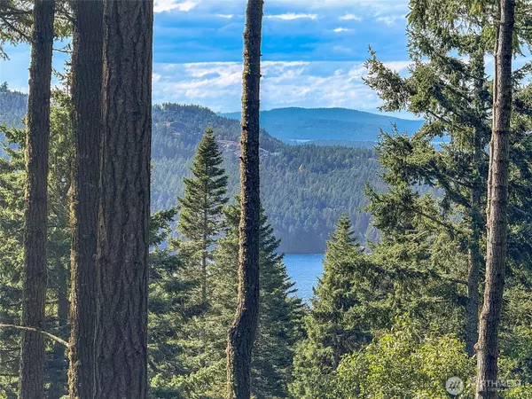 Orcas Island, WA 98245,291 Discovery WAY