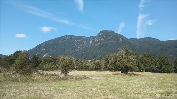 Randle, WA 98377,1211 Cline RD