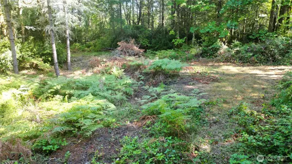 Olympia, WA 98516,4808 83rd CT NE