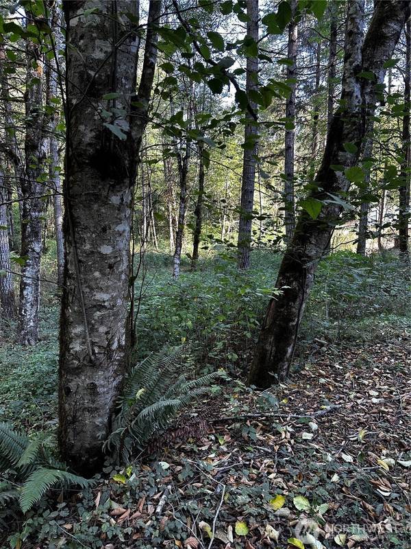 14413 109th ST SW, Gig Harbor, WA 98329