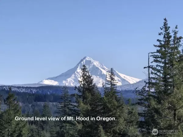 Washougal, WA 98671,1051 SKAMANIA MINES RD