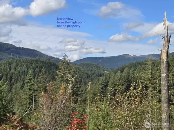 Washougal, WA 98671,1051 SKAMANIA MINES RD