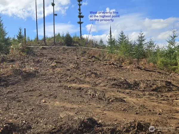 Washougal, WA 98671,1051 SKAMANIA MINES RD