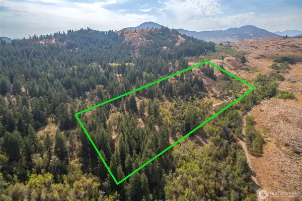 Oroville, WA 98844,653 B Ellemeham Mtn. RD