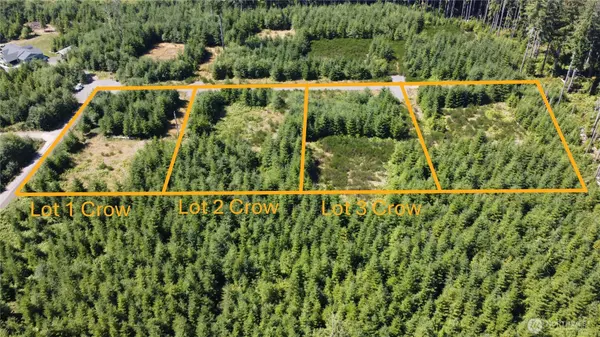 Forks, WA 98331,9999 King Johns-Lot 2 Crow SP WAY