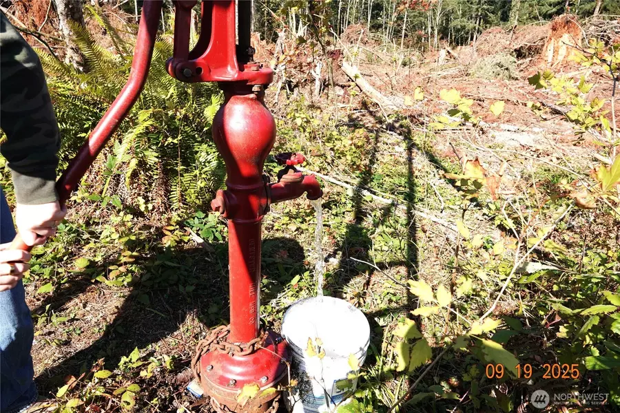 15829 456th ST E, Eatonville, WA 98328