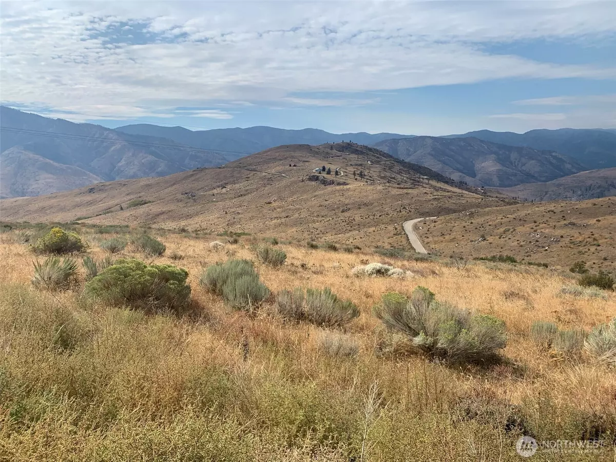 Pateros, WA 98846,0 Lot 58 MRR-Bill Shaw Rd.