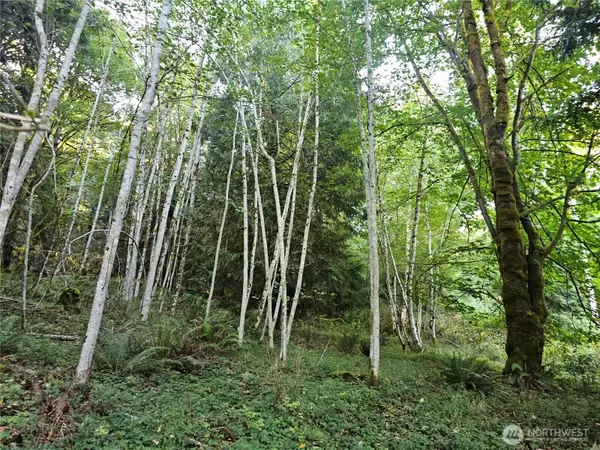 Shelton, WA 98584,2540 xxx E North Island DR