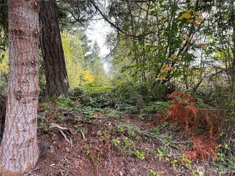 21 Camano LN, Port Ludlow, WA 98365