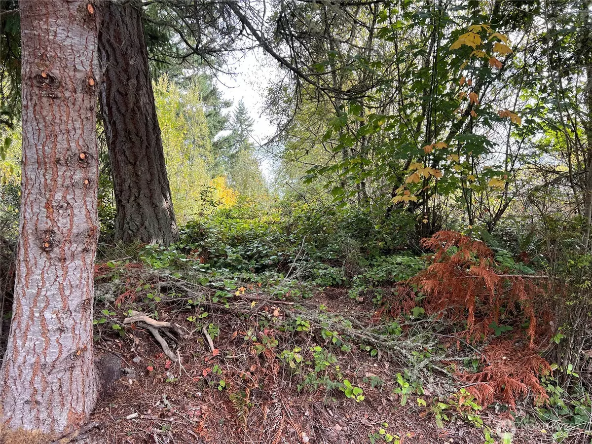 Port Ludlow, WA 98365,21 Camano LN