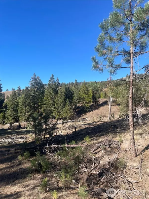 Tonasket, WA 98855,0 High Country RD W