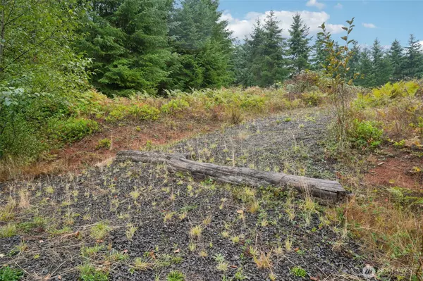 Castle Rock, WA 98611,374 Bellwood DR