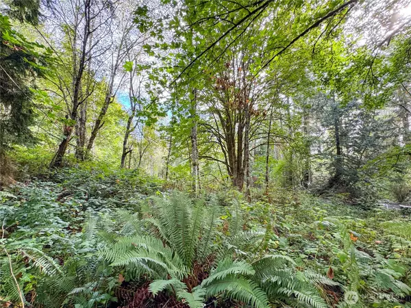 Lakebay, WA 98349,120 184th Avenue Ct NW